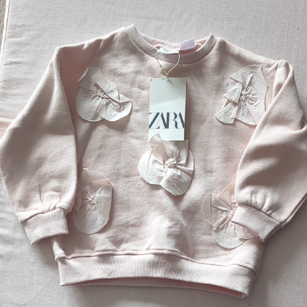 Zara Blush Sweatshirt with Sheer Floral Details